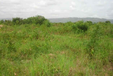 6 plots of land(TOPO ASCON RD BADAGRY) watet front