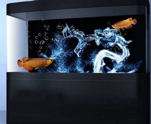Shipped from abroad HD Water Dragon Background Poster Fish Tank Aquarium